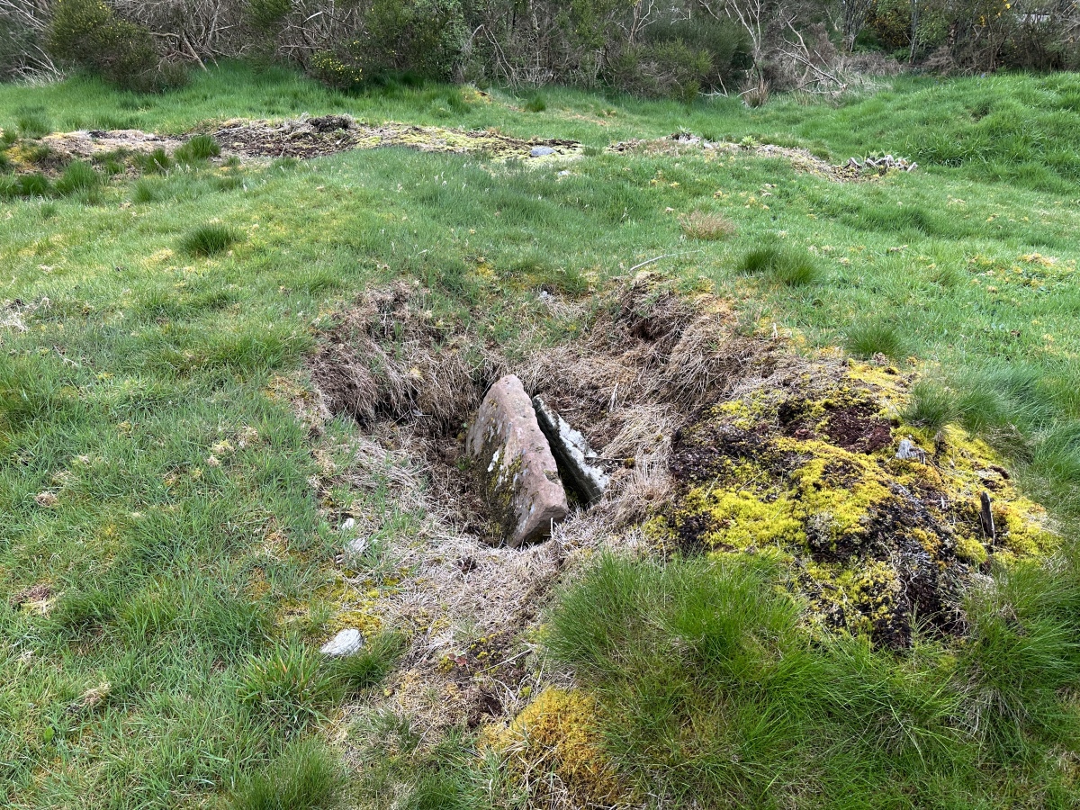 Click for the gallery page to add comments and vote (PID:263312) Edderton Stone Circle