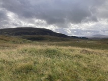 Loynemore W
