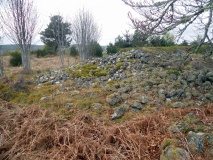 Ardvannie