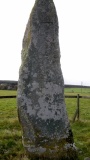 Edderton 1
