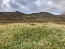 Loynemore W
