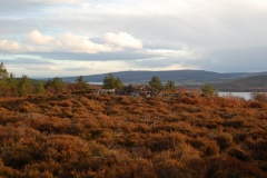 Achaidh Chambered Cairn