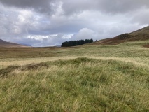 Loynemore W