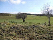 Balnuaran of Clava E