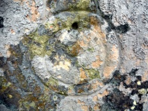 Edderton 1
