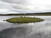 Loch Borralan Crannog