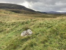 Loynemore W