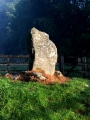 Strathpeffer - PID:136673