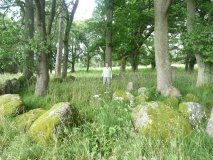 Druidtemple