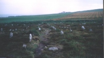Hill o'Many Stanes - PID:13698