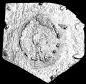 Carn Urnan - PID:167174