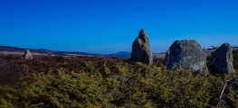 Heights of Brae - PID:130997