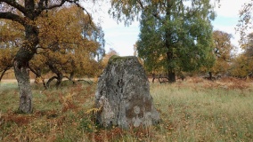 Ballinluig Standing Stone
