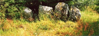 Druidtemple
