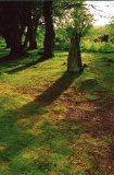 Druidtemple