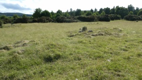 Laikenbuie Cairnfield