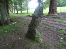 Mony's Stone