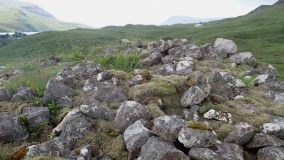Carrachan Dubh