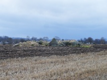 Cullearnie