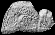 Buntait Cup Marked Stone - PID:160442