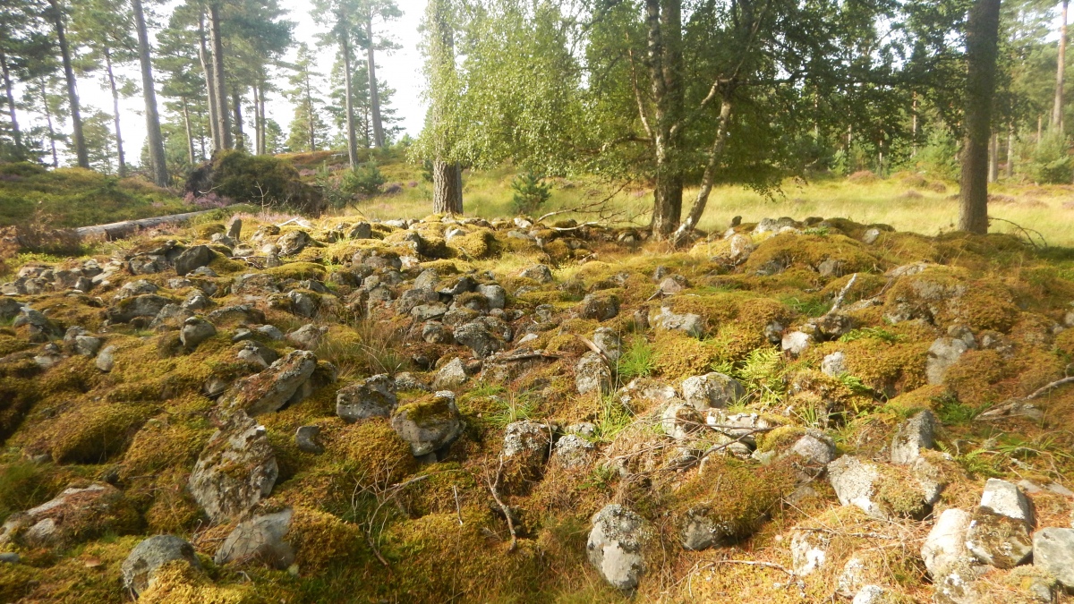 Click for the gallery page to add comments and vote (PID:264125) Gaich Wood Cairn 2
