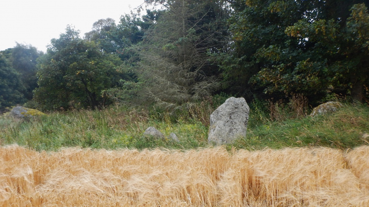 Click for the gallery page to add comments and vote (PID:276713) Cantraybruich