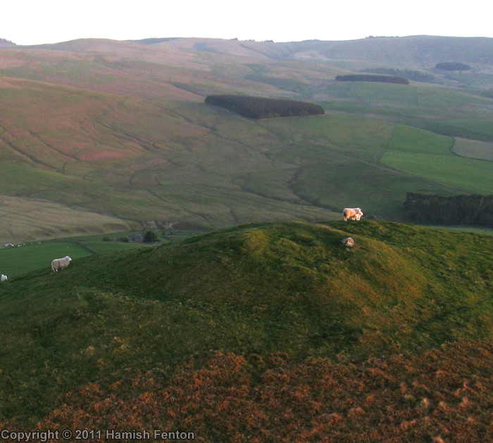 Click for the gallery page to add comments and vote (PID:79348) Hindhope Hill Cairn