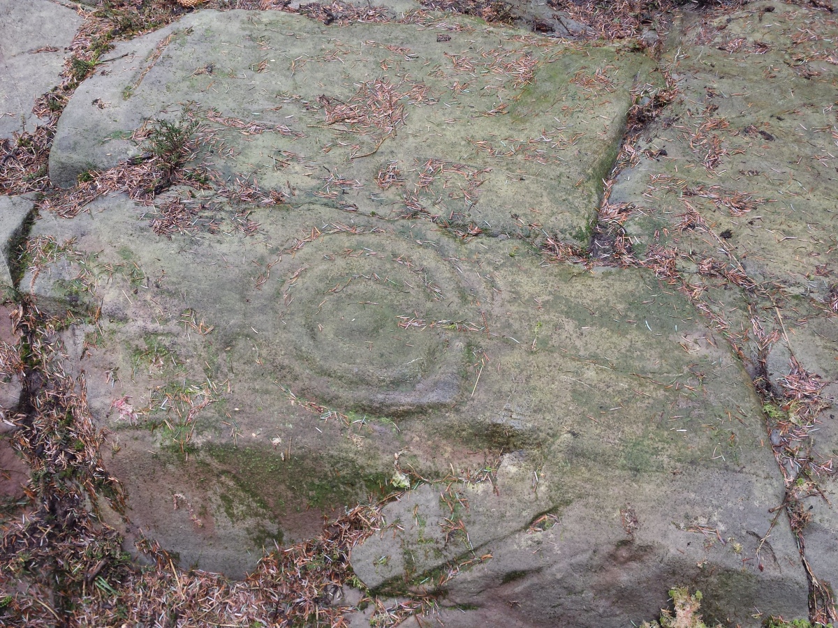 Stronach Ridge Rock Art