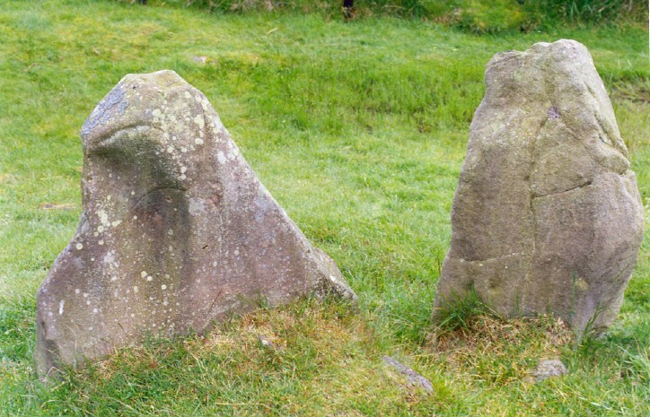 Stones at the SW of the Moss Farm Road (or Machrie Moor 10) circle.  The stone on the left resembles the head and shoulders of a hooded person.  It faces into the circle, and towards the NE and Midsummer sunrise.  There's a dip in the hills at NE, and my ritual movement dowsing headed out of the circle in that direction.  Its inner face also seems to have a circular carving. 