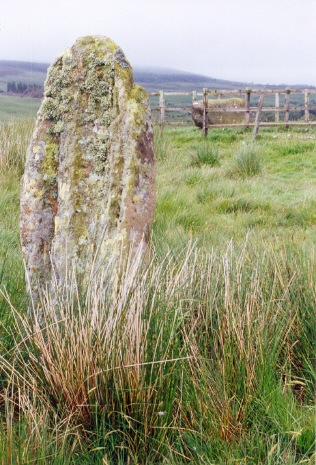 Click for the gallery page to add comments and vote (PID:42403) Moss Farm Stone
