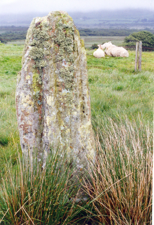 Click for the gallery page to add comments and vote (PID:42404) Moss Farm Stone