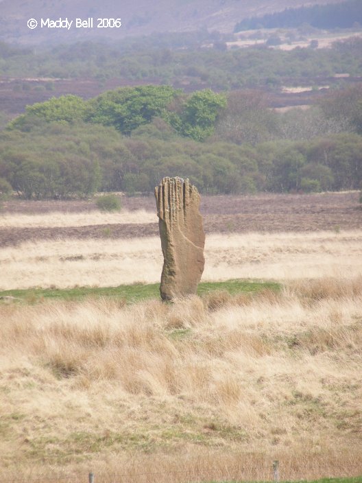 Click for the gallery page to add comments and vote (PID:24884) Machrie Moor 3