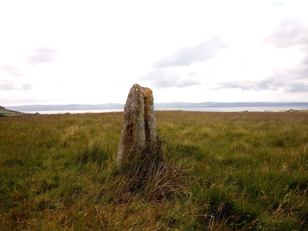 Moss Farm Stone