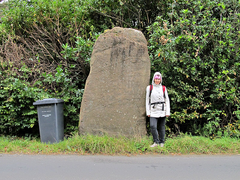 Click for the gallery page to add comments and vote (PID:68625) Stronach Standing Stone