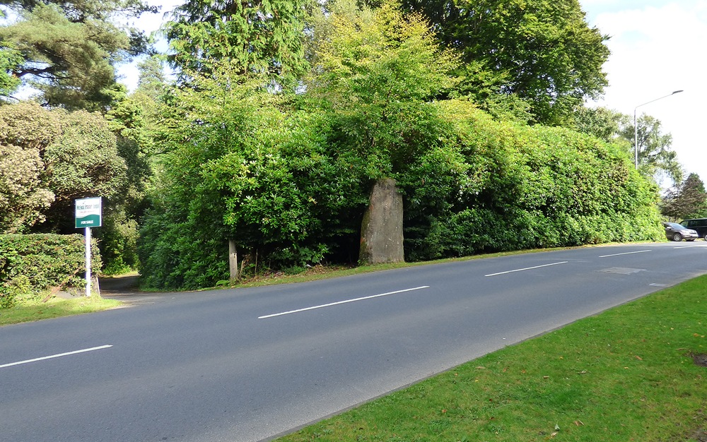Stronach Standing Stone