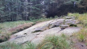 Stronach Ridge Rock Art