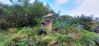 Clauchan Glen