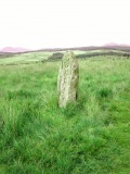 Moss Farm Stone