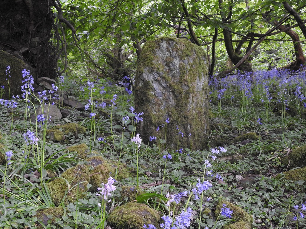 Longhaugh Point Menhir