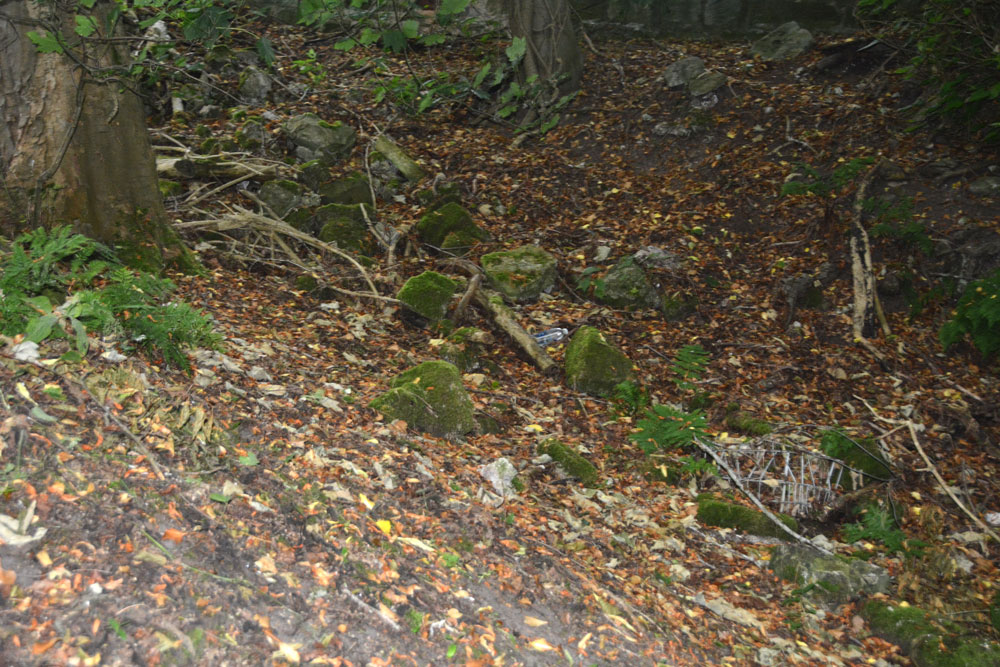 St Matthew's Well (Roslin)