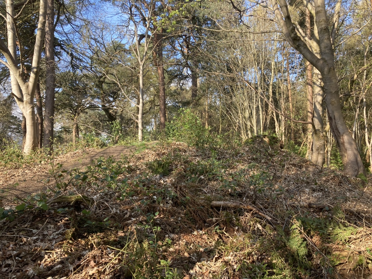 Click for the gallery page to add comments and vote (PID:257003) Galachlaw Cairn