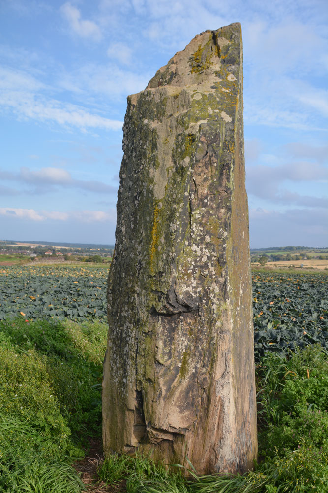 Standing to the north west of the stone, looking across the field of cabbages to this rugged face of the stone.