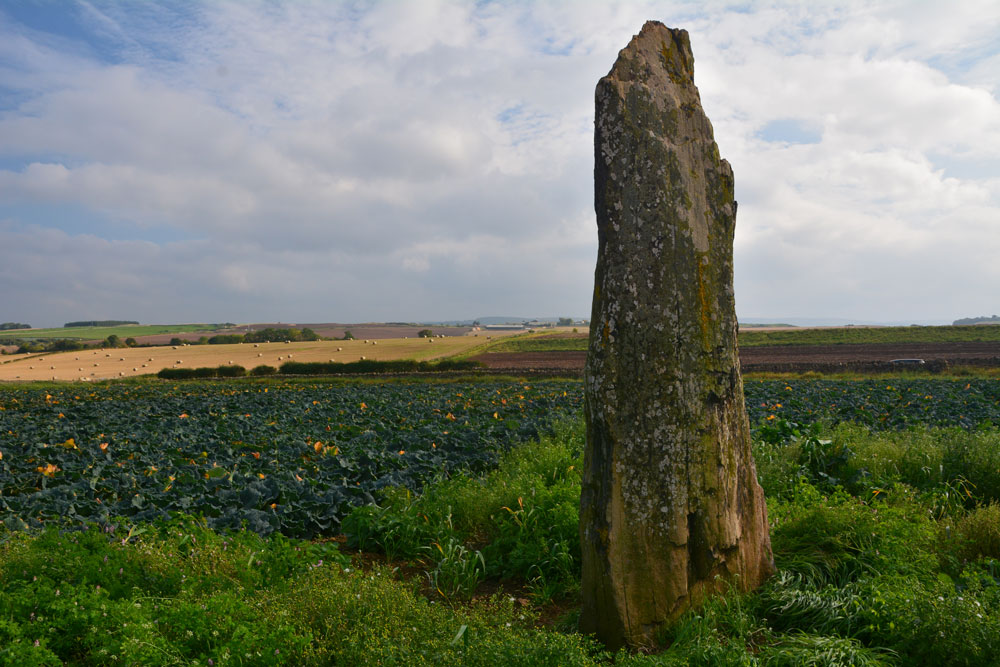 Click for full size image of Pencraig Brae (PID:172152) Pencraig Brae