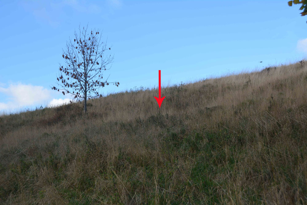 Click for the gallery page to add comments and vote (PID:187967) Slidey Stane (Holyrood Park)
