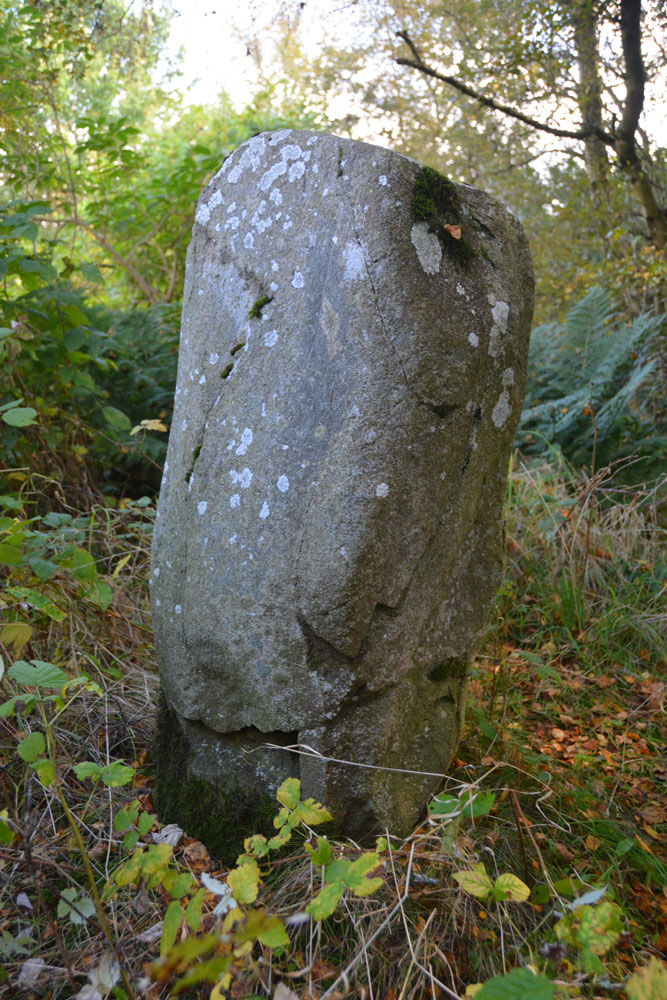 Westfield Farm Refuge Stone