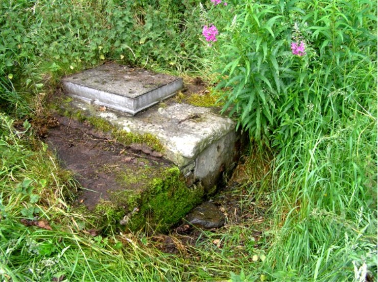 Delf Well