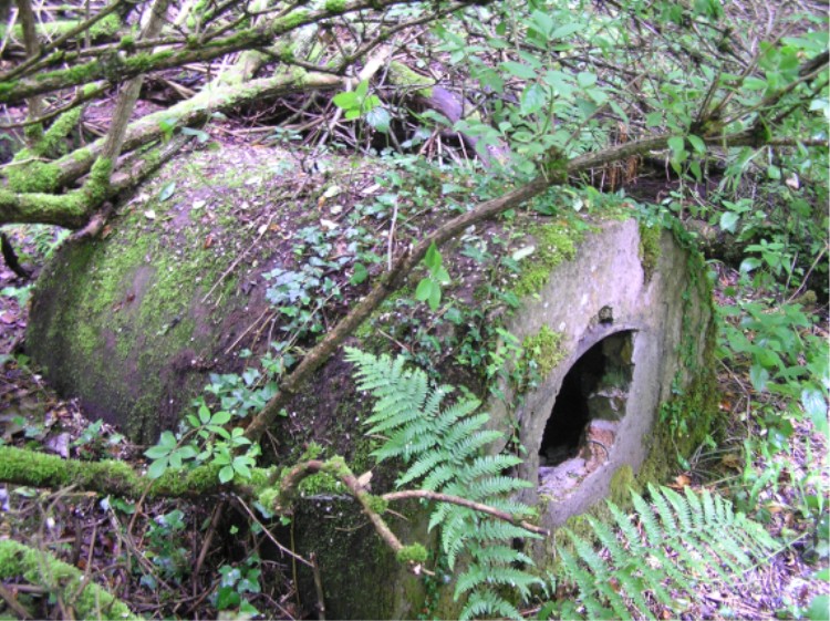 St Matthew's Well (Roslin)