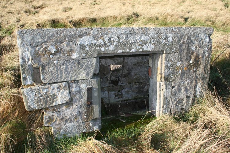 Brand's Well