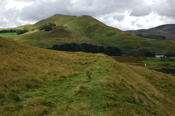Click for the gallery page to add comments and vote (PID:34056) Castle Law