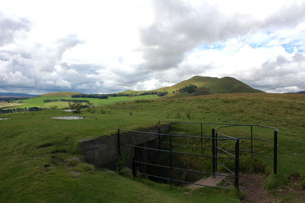 Castle Law